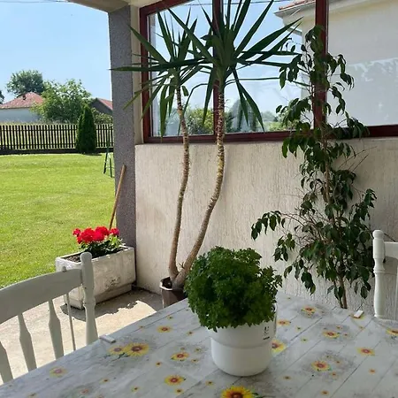 Apartment Starcevic Arandelovac Obavestenje Proveriti Raspolozivost Putem Poruke Zbog Ucestalih Laznih Rezervacija Orasac