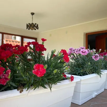 Starcevic Arandelovac Obavestenje Proveriti Raspolozivost Putem Poruke Zbog Ucestalih Laznih Rezervacija *