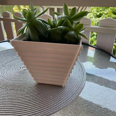 Apartment Starcevic Arandelovac Obavestenje Proveriti Raspolozivost Putem Poruke Zbog Ucestalih Laznih Rezervacija