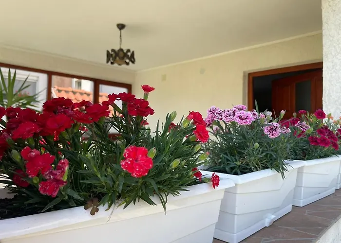 Starcevic Arandelovac Obavestenje Proveriti Raspolozivost Putem Poruke Zbog Ucestalih Laznih Rezervacija *